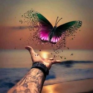 Meet your Posher, Dawn